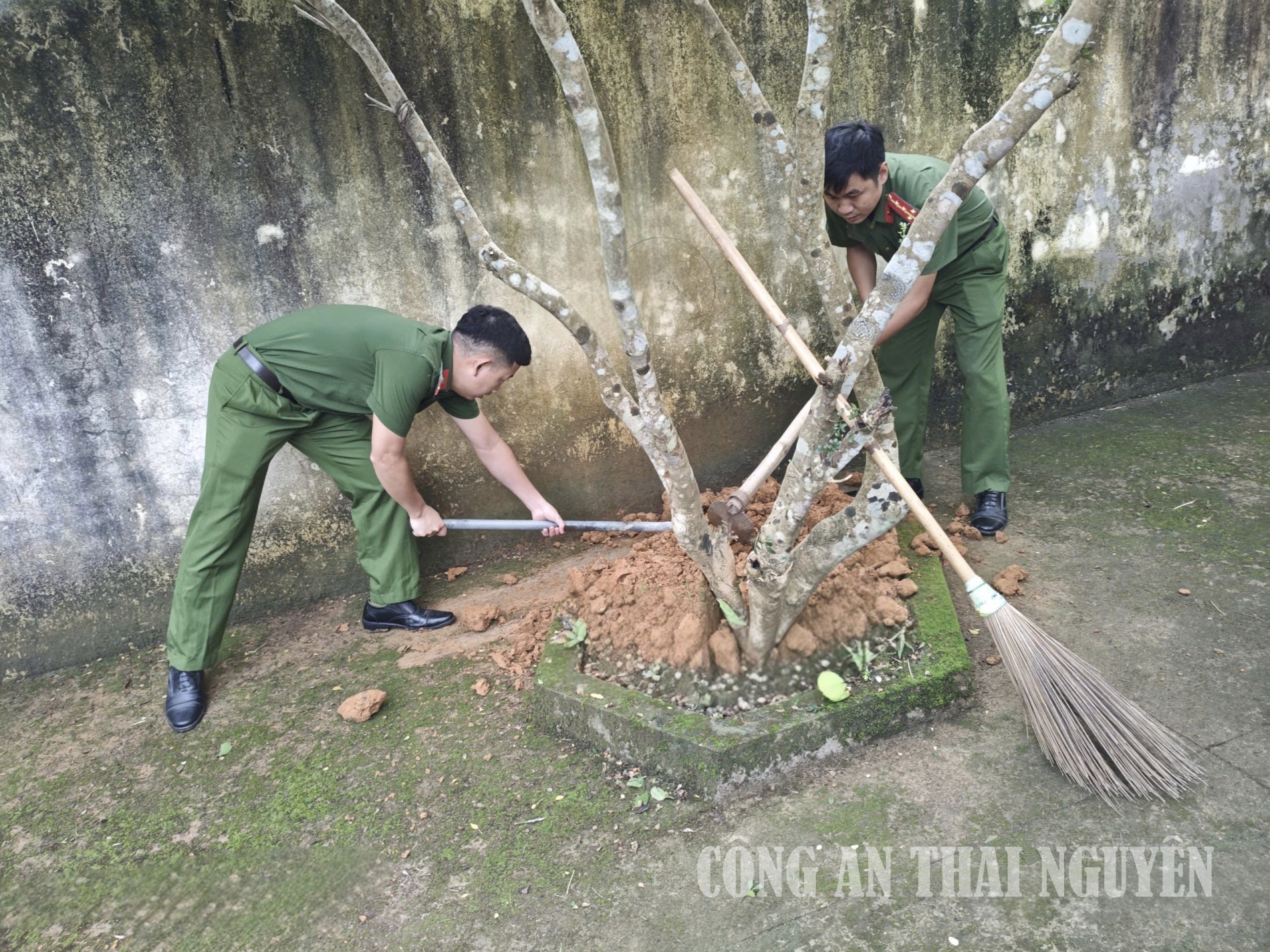 Yên trạch