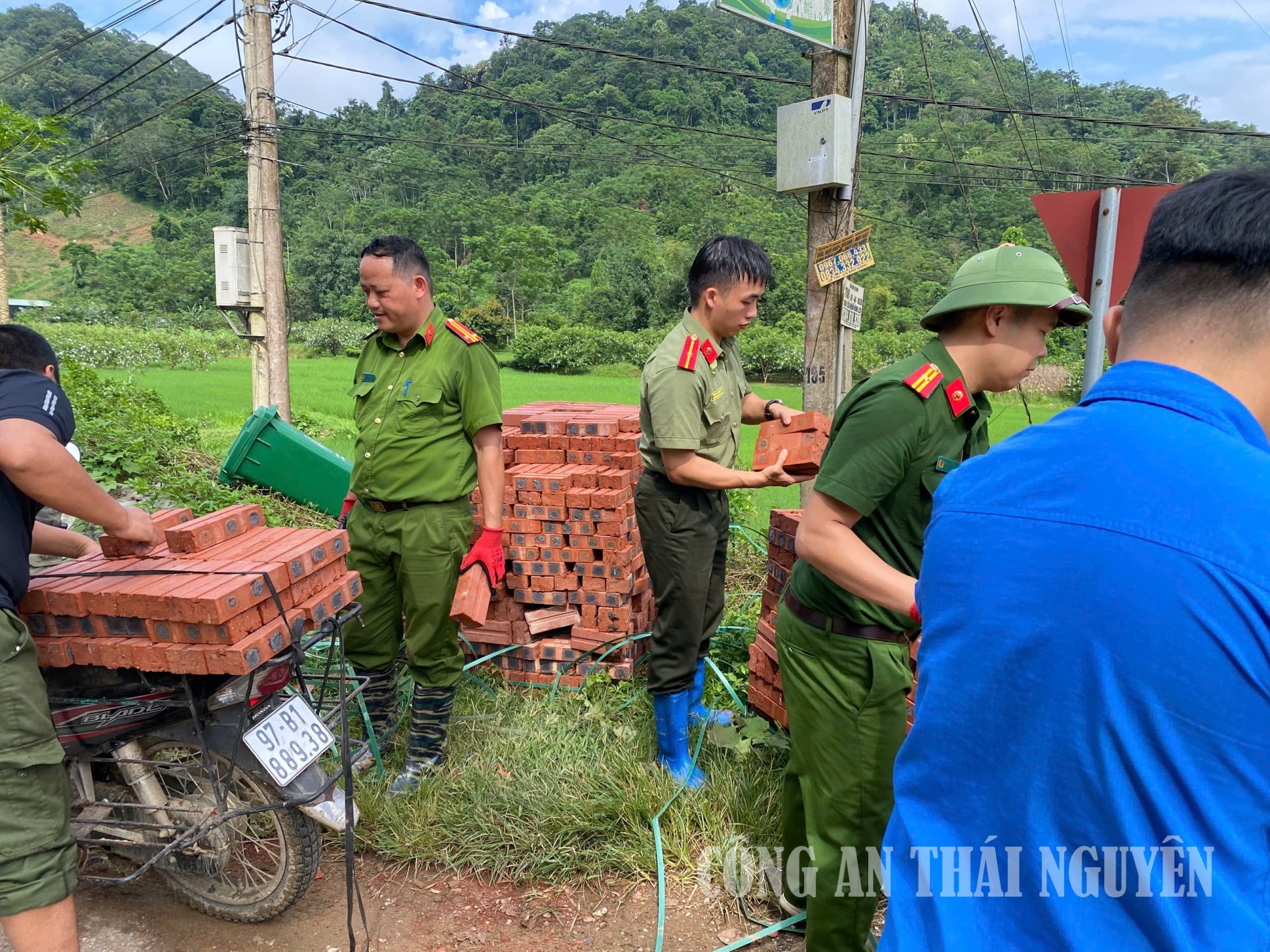 Ảnh 1 bạch thông xóa nhà tạm