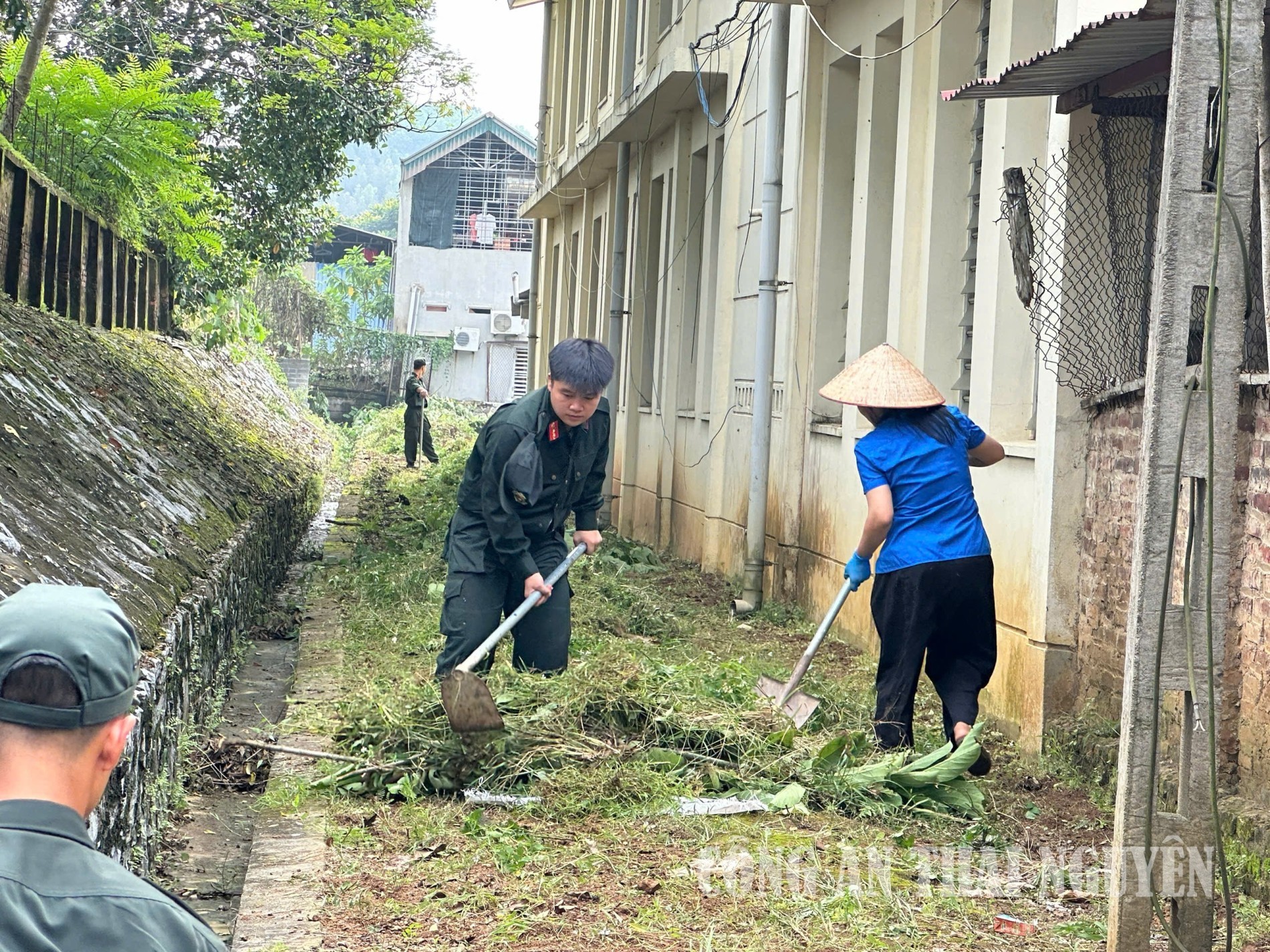 Vệ sinh, dọn dẹp khuôn viên nhà trường.