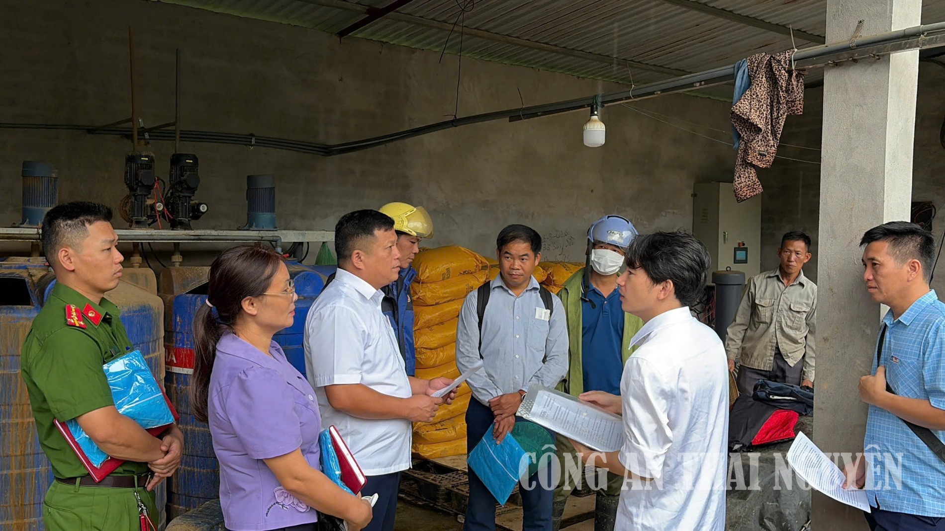Xuân dương khảo sát chăn nuôi