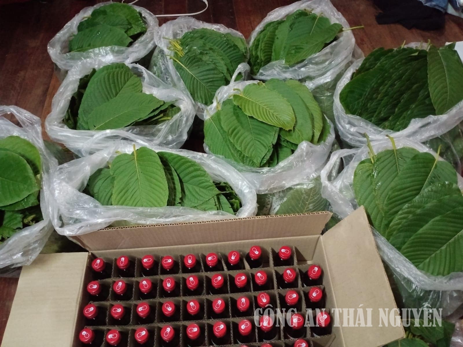 Lá Kratom và chế phẩm