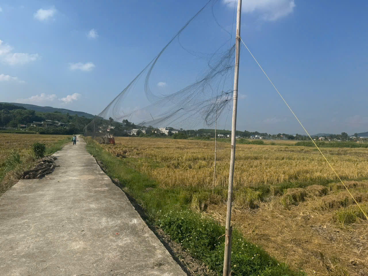 Phòng ngừa, xử lý hành vi vi phạm pháp luật về bảo vệ động vật hoang dã