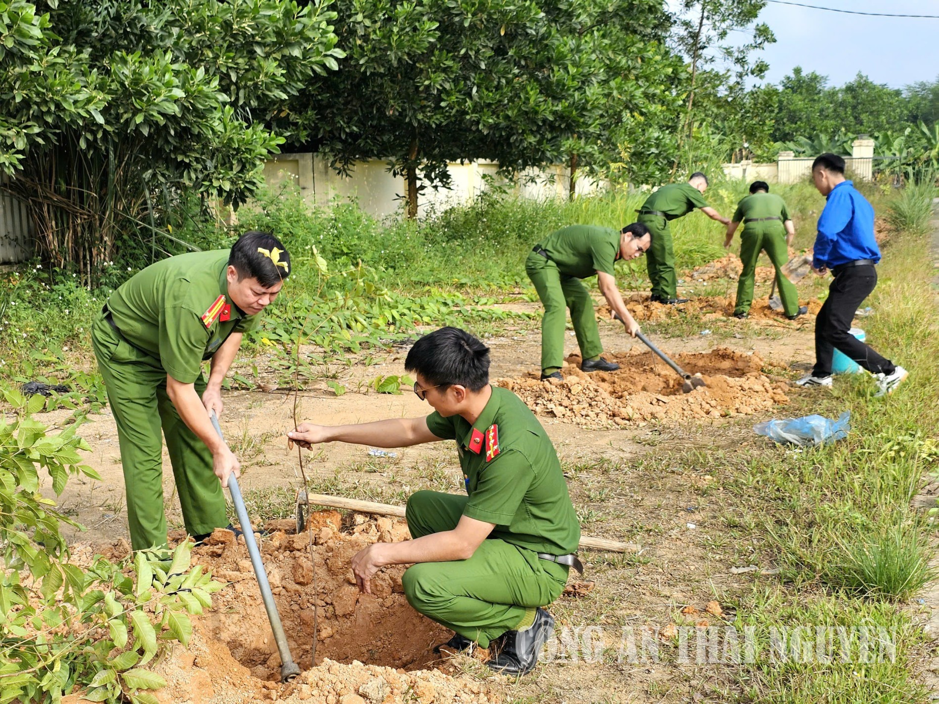 Hơn 100 cây xanh được trồng chủ yếu là các cây cho bóng mát